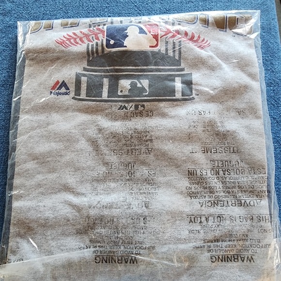 Cubs 2016 World Series Champion Gray T-Shirt - Picture 3 of 3